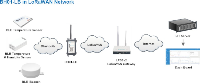 BH01_network