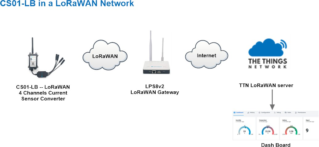 CS01-LB_Network.png